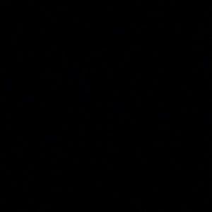 Meet your Posher, Evelyn